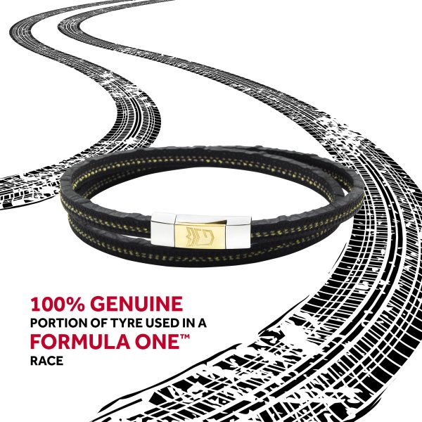 F1 Race MIRABEAU - Steel & Gold 18K - Image 2