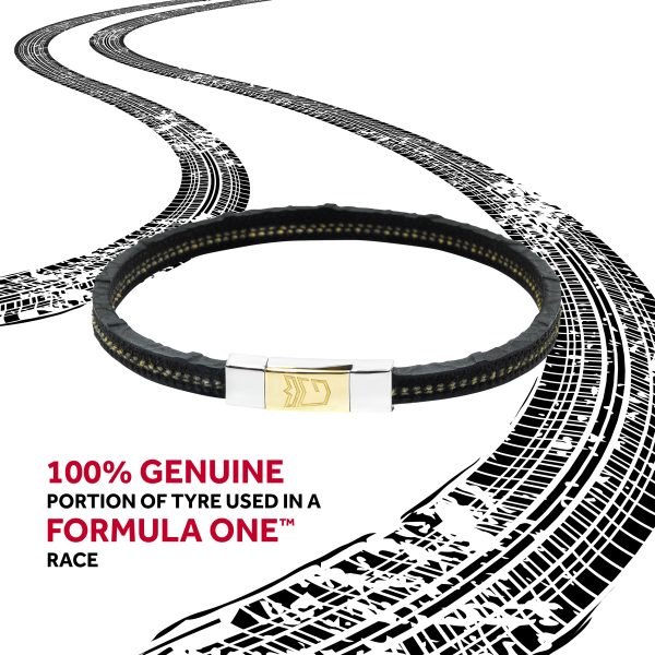 F1 Race RASCASSE - Steel & Gold 18K - Image 2
